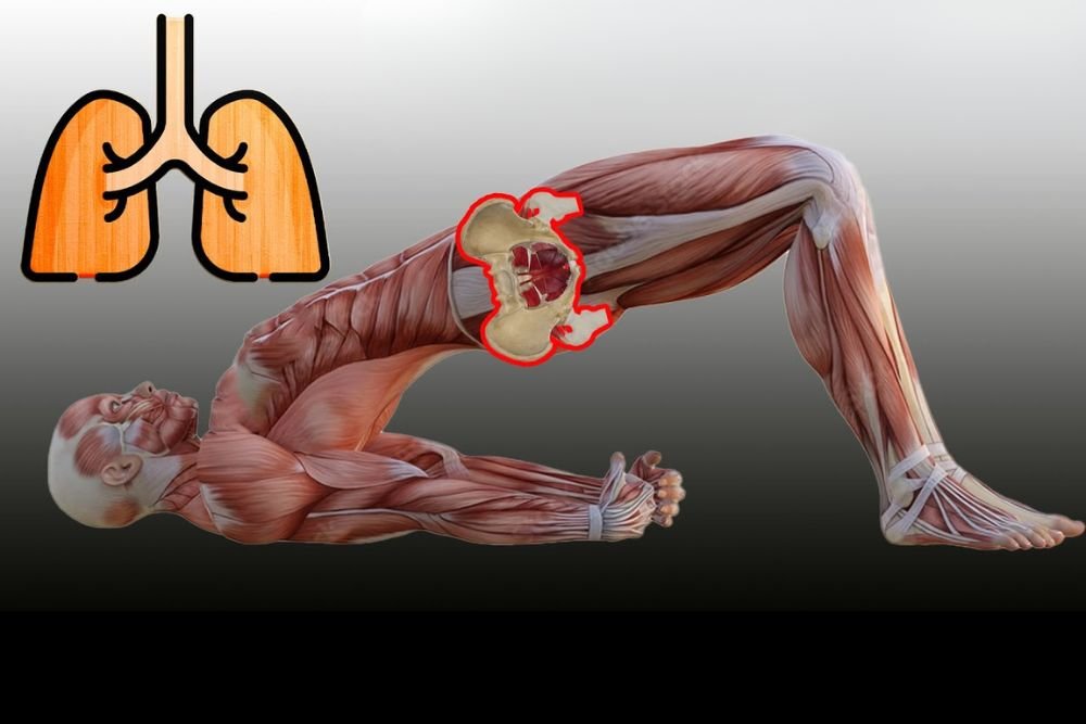 Kegel Ex Simple Tips for Better Pelvic Muscle Strength