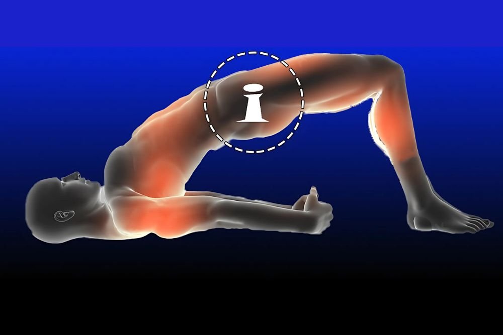 Kegel Ex Simple Tips for Better Pelvic Muscle Strength