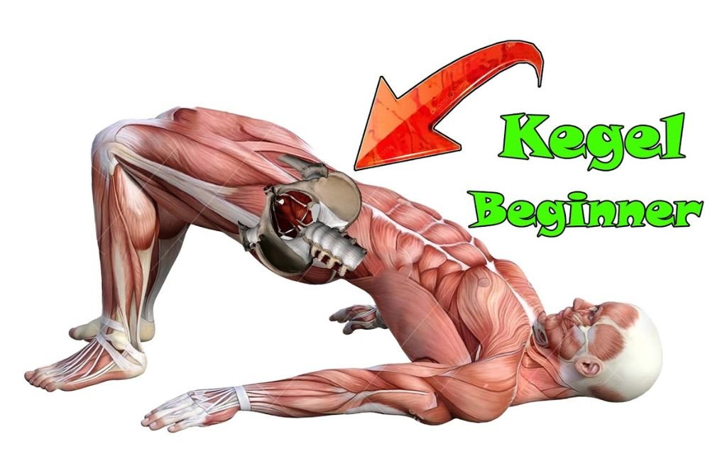 Kegel Must-Know Facts to Improve Your Pelvic Health
