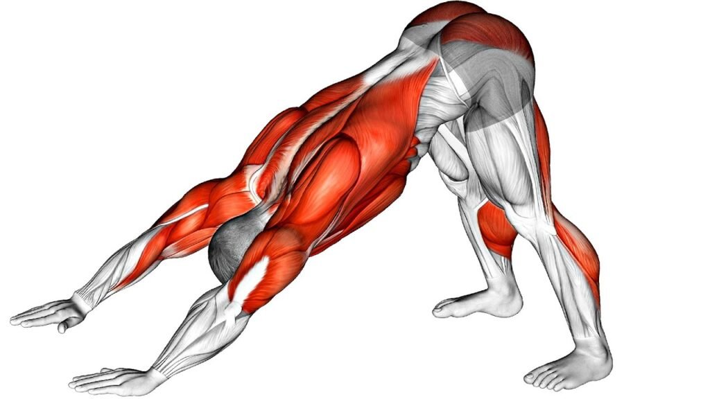 Pelvic Exercises for Men