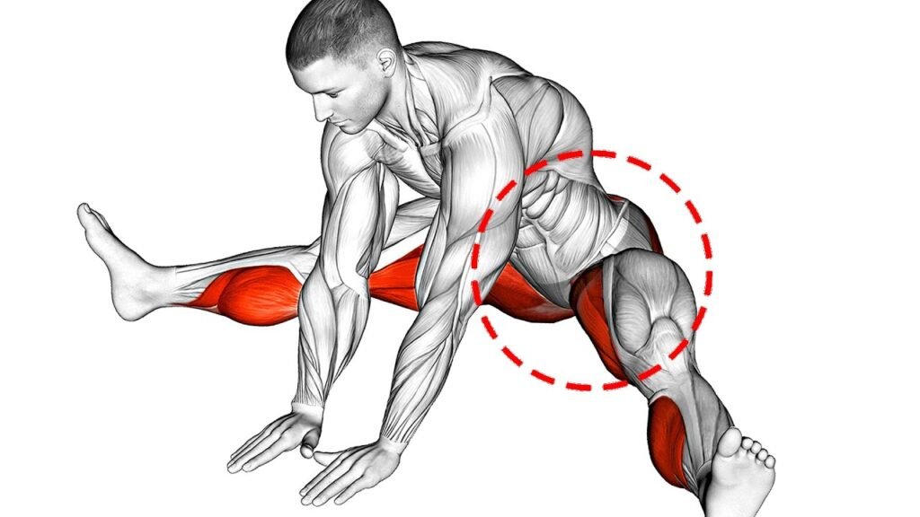 Pelvic Exercises for Men Ways to Boost Core Stability