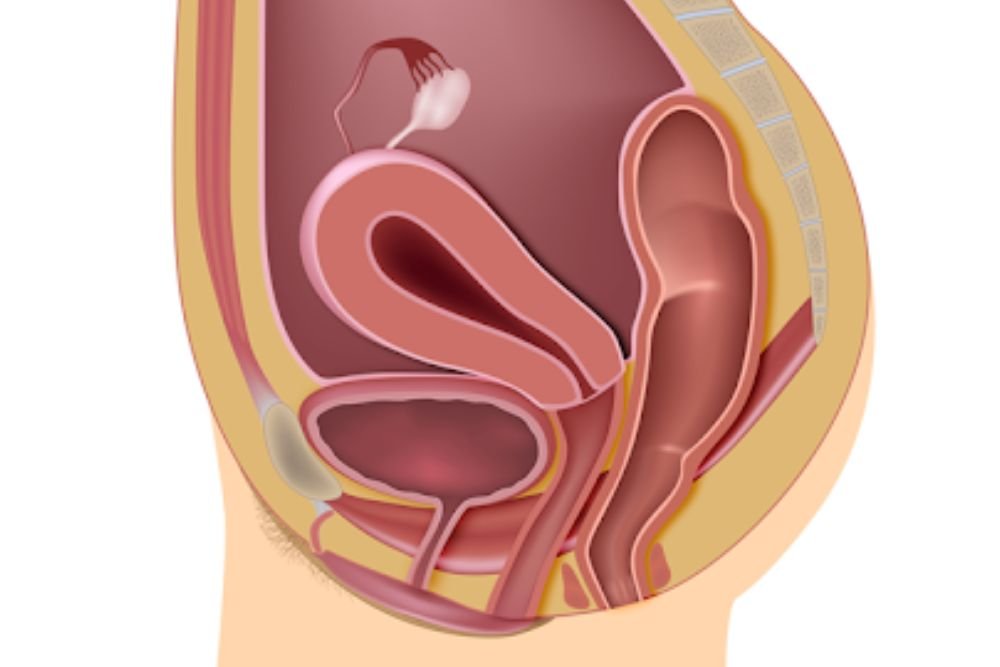 Pelvic Floor Exercises for Pregnant Women Key Benefits