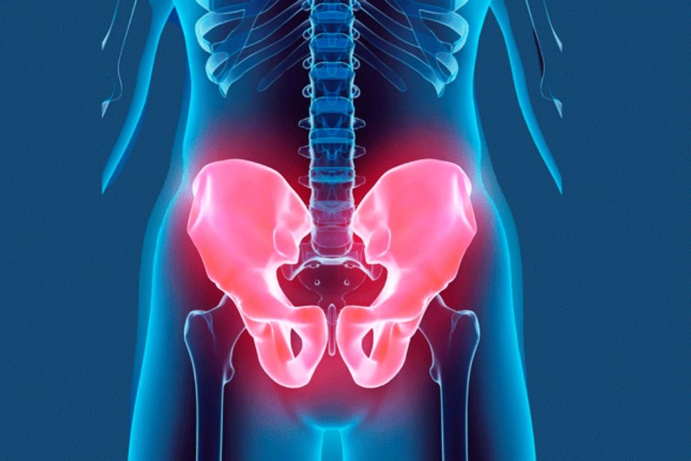 Pelvic Muscle Exercises Female Simple Routines to Try